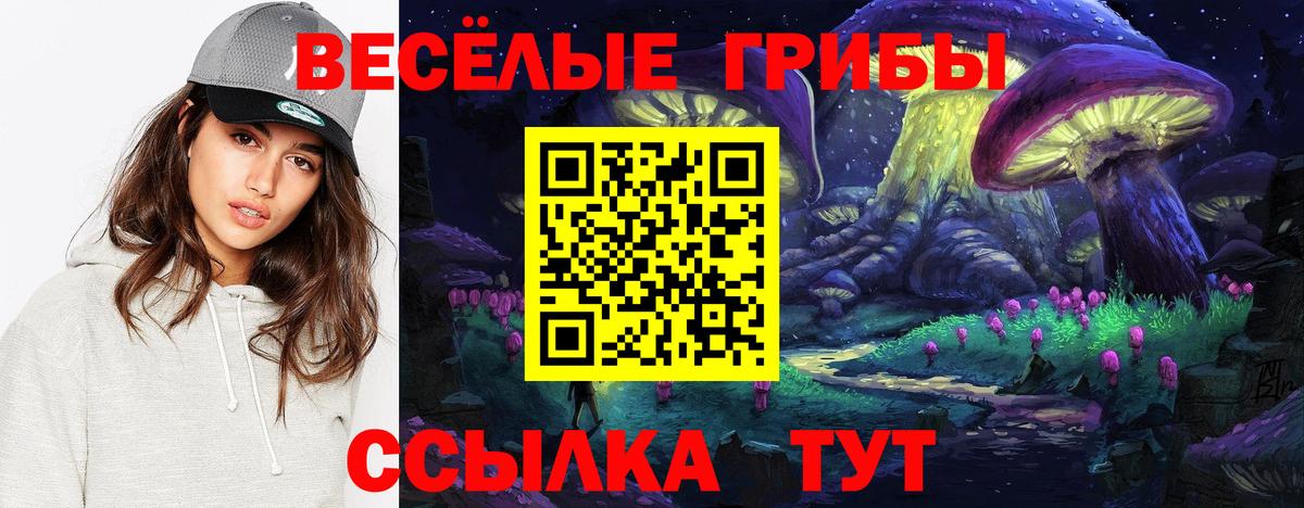 Псилоцибиновые грибы ЛСД  Псилоцибиновые грибы GOLDEN TEACHER  Киреевск  Вход с VPN 